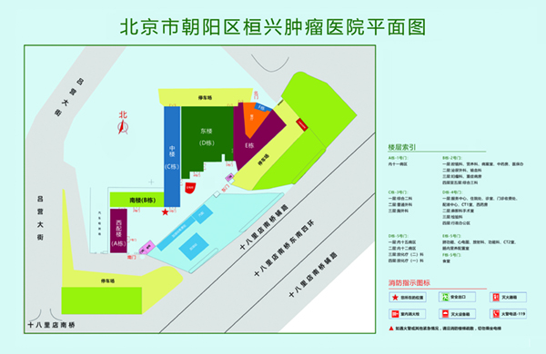 操逼视频污观看北京市朝阳区桓兴肿瘤医院平面图